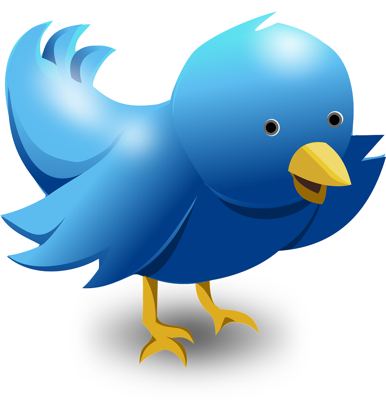 Twitter Updates
