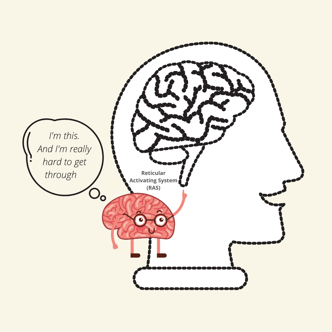 What does a bundle of nerves have to do with marketing?